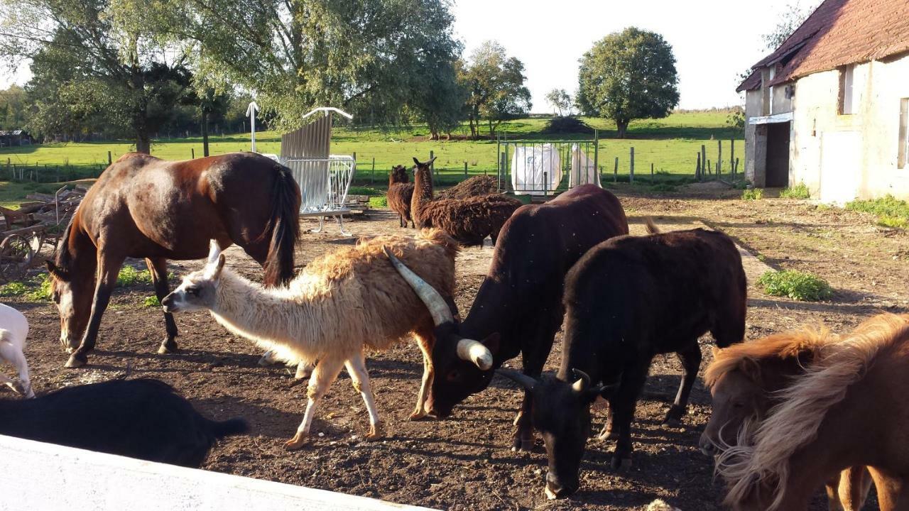 La Ferme Aux Kangourous Donzy Ngoại thất bức ảnh