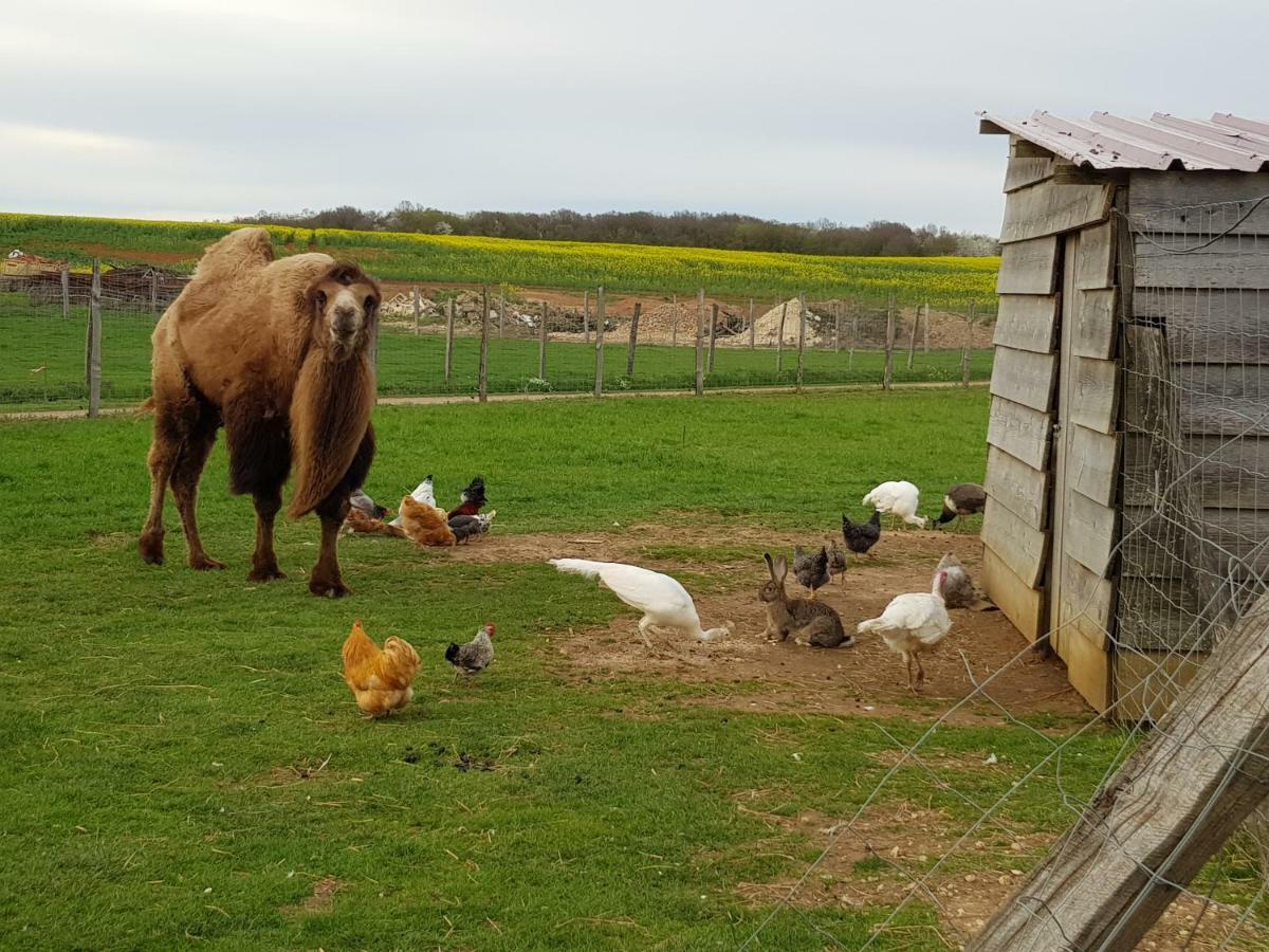 La Ferme Aux Kangourous Donzy Ngoại thất bức ảnh